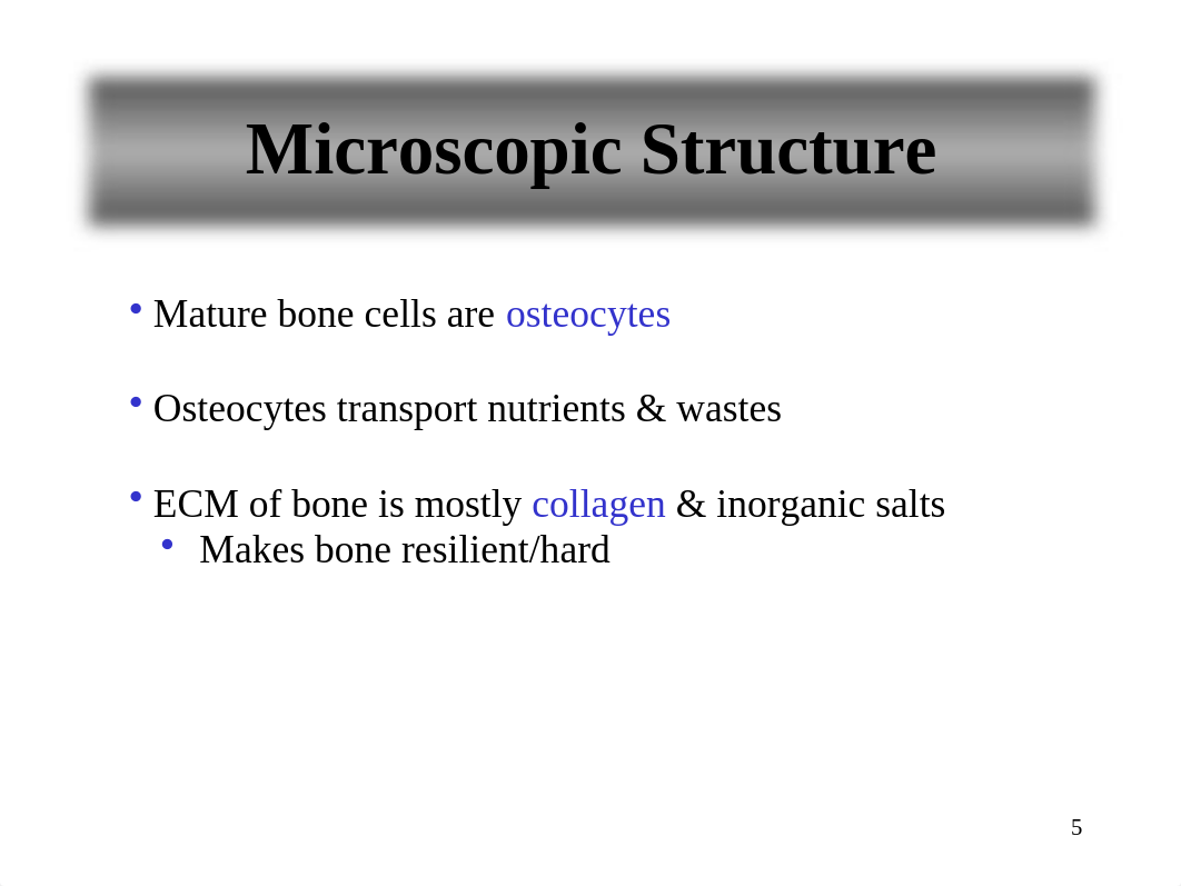 Lab 12. Bone Structure and Classification Summer 2019.pptx_dvwlva9mhd9_page5