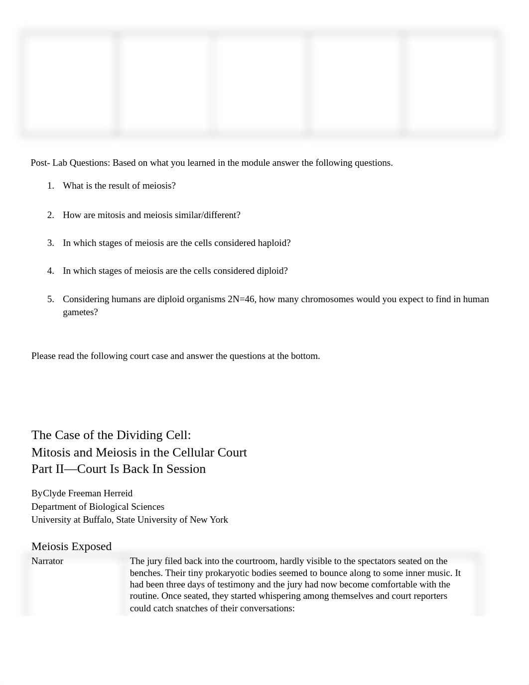 Meiosis Lab Only and Court 20201003FC-1.docx_dvwoc3l71is_page2