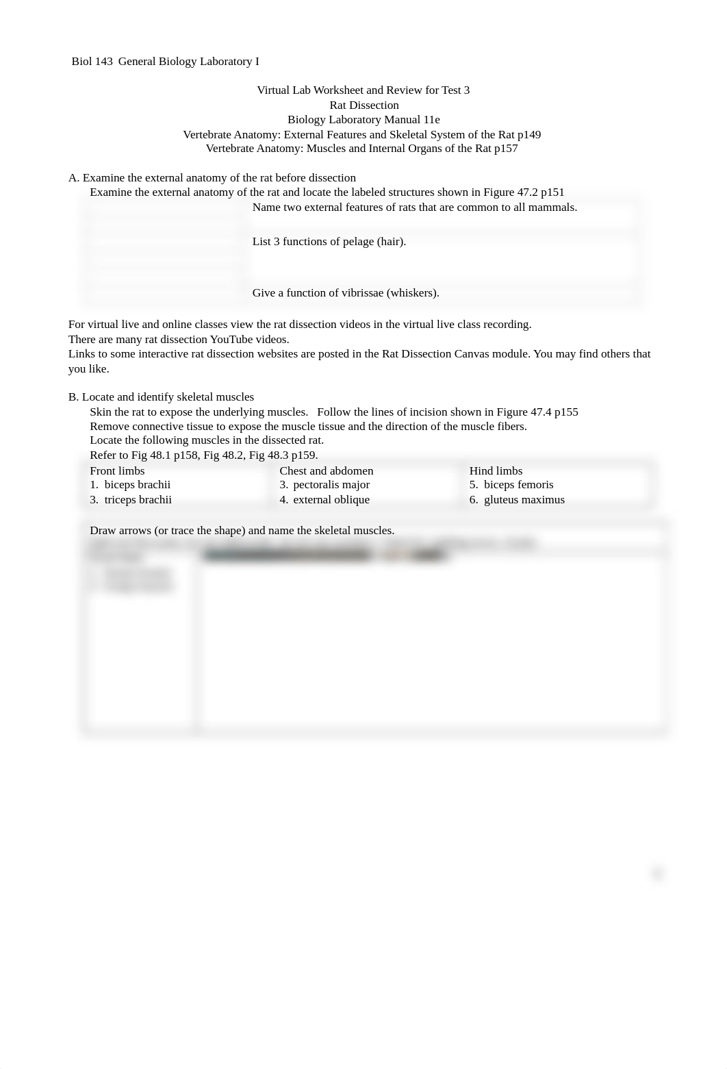 Rat Dissection Virtual Lab Worksheet and Review for Test 3 211216.docx_dvwrpxu4hz1_page1