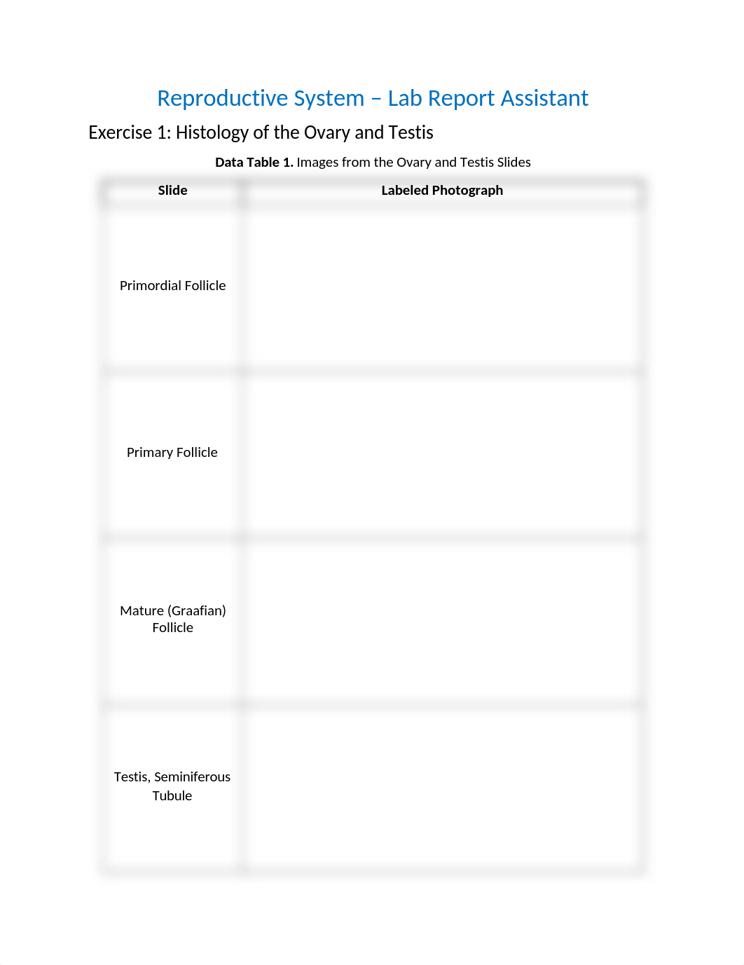 54 - Lab 10 Reproductive_System_RPT.docx_dvwttqi1l0j_page1