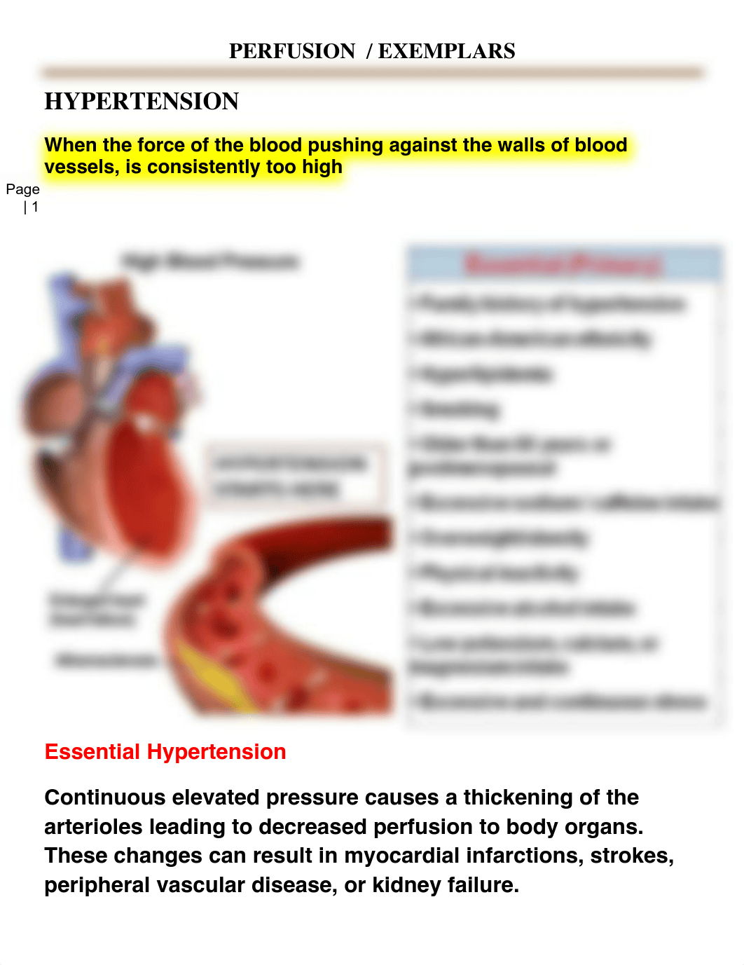 1.   hypertension  lesson plan instruc notes.pdf_dvx17127tyo_page1