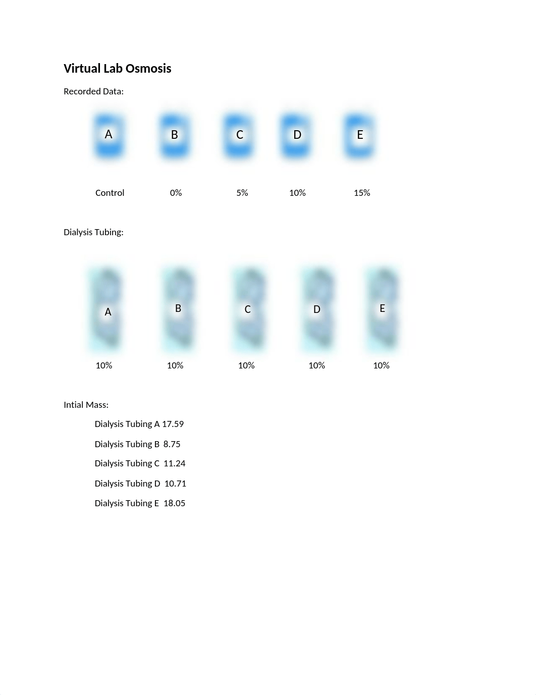 Virtual Lab Osmosis.docx_dvx1j455qc4_page1