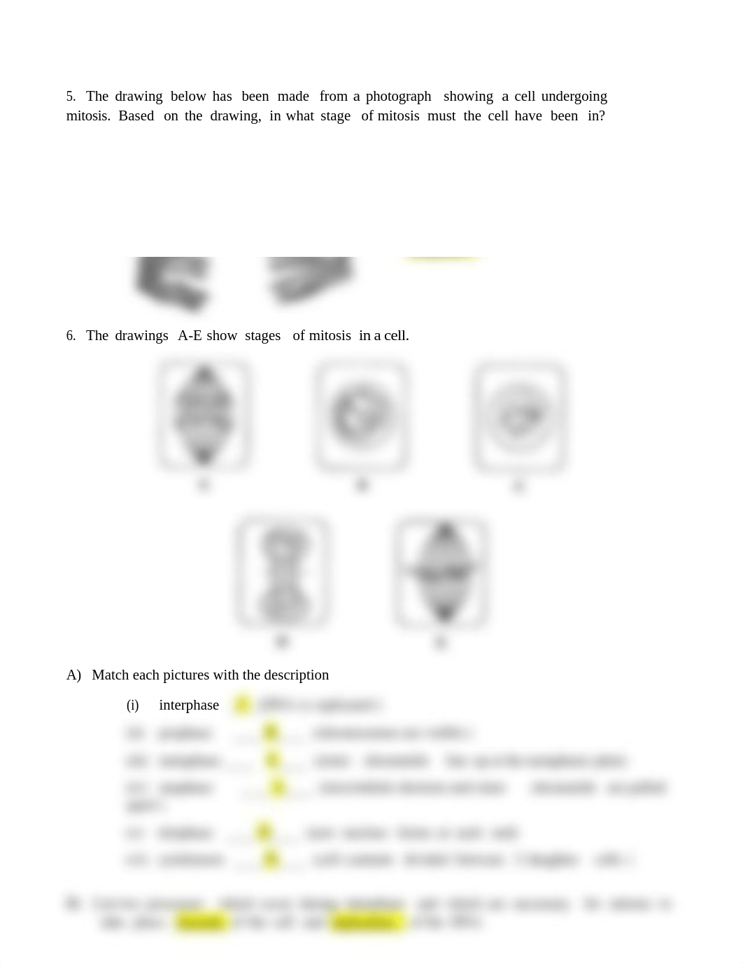 Mitosis worksheet-1.docx_dvx3fxxw442_page2