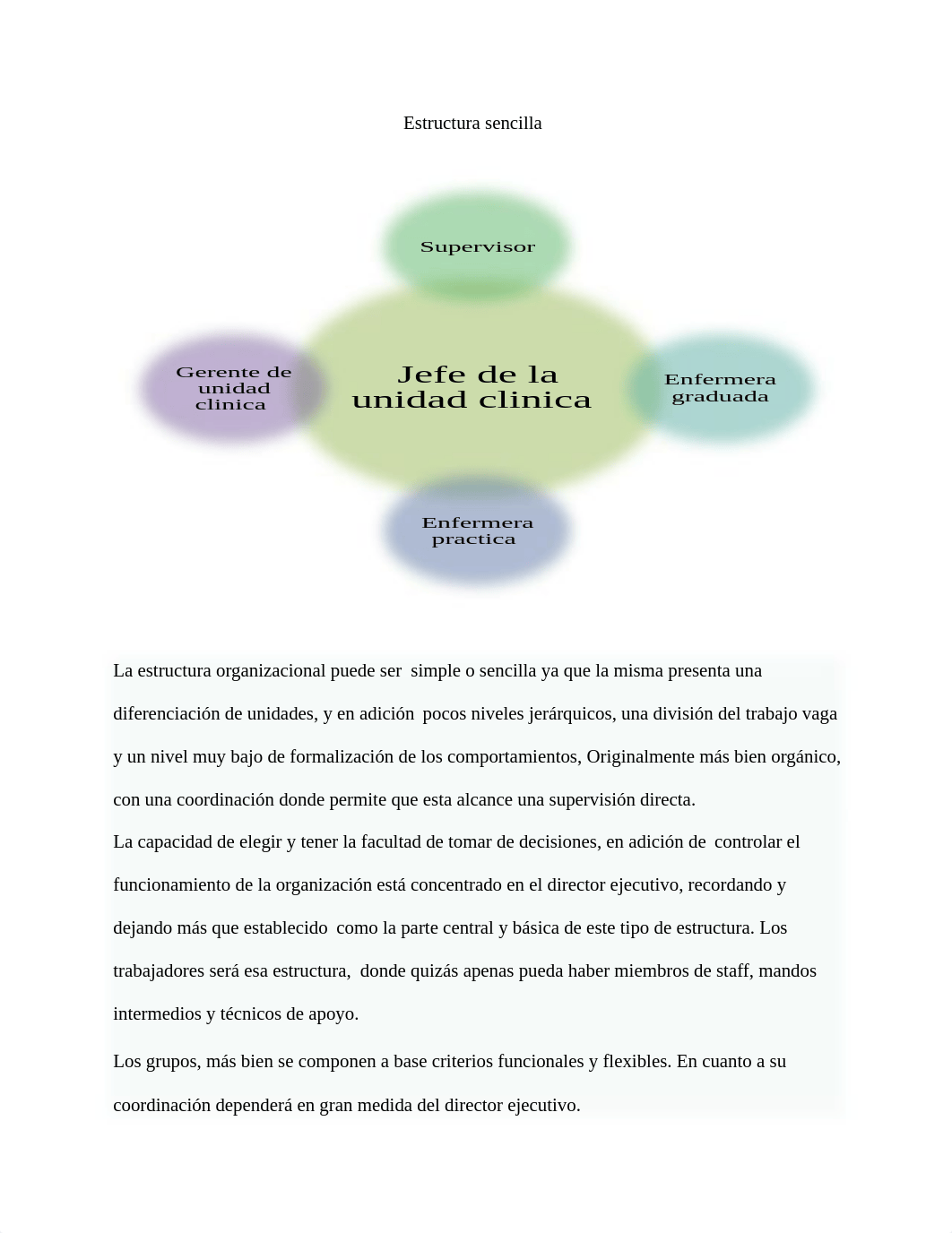 Construcción de una estructura organizacional 3.2 njurs 3055.docx_dvxad331x3v_page2