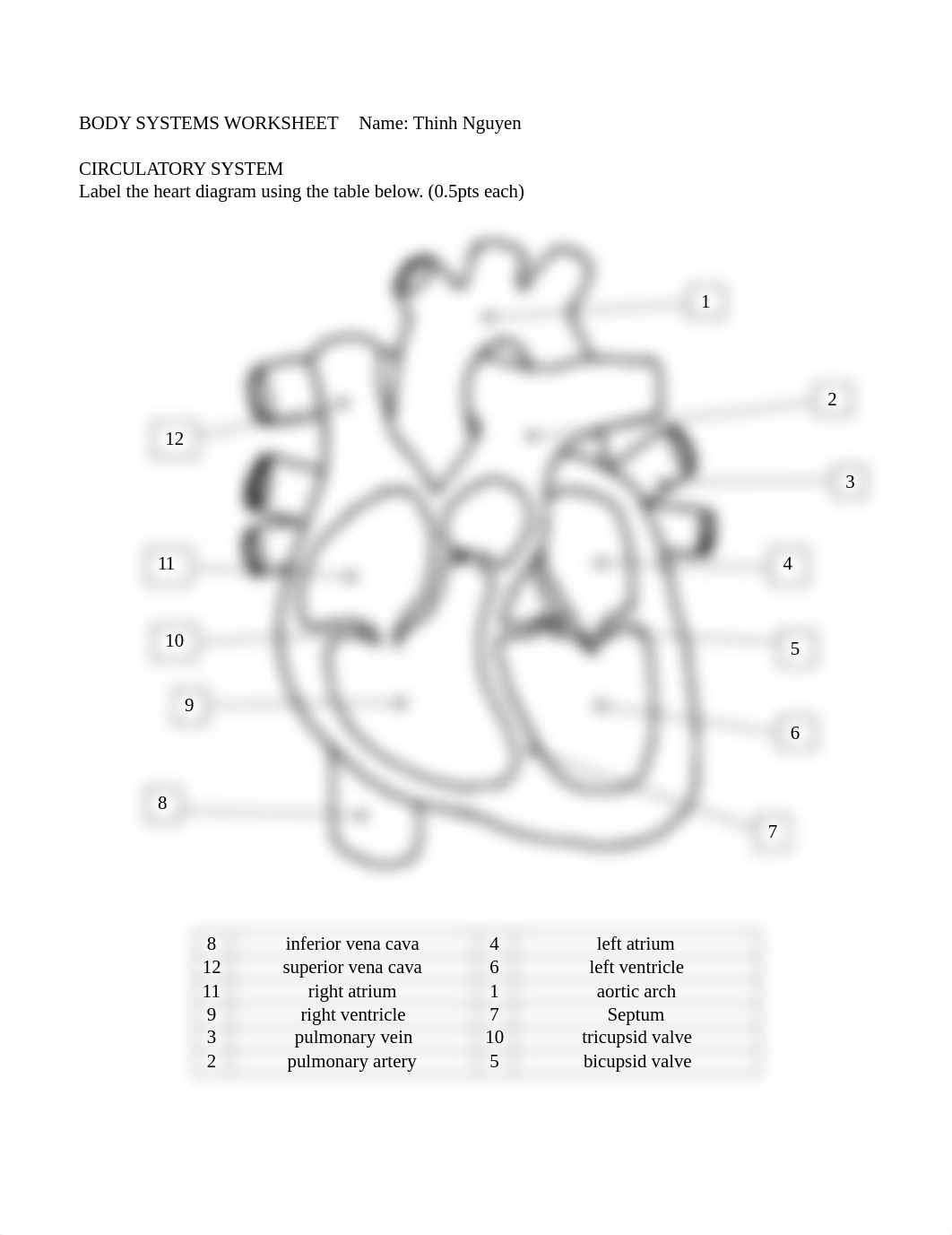 Circulatory, Respiratory, and Immune Systems HW.doc_dvxeqegs8s8_page1