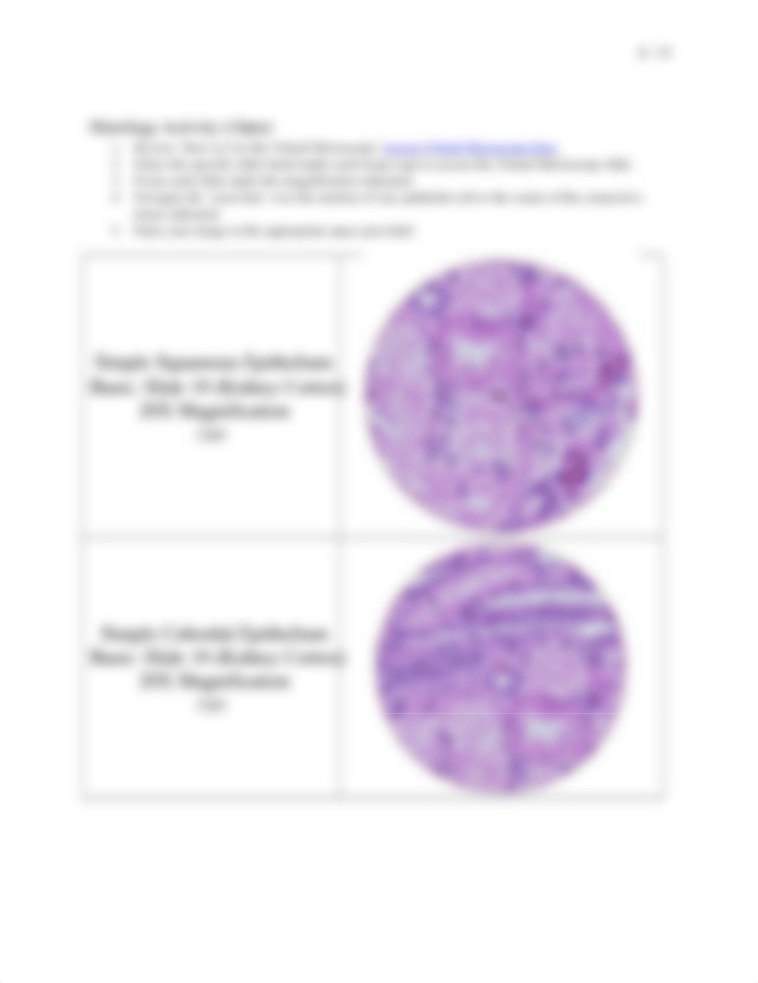 L1 Histology_Epithelium and Connective Tissue.docx_dvxf0nkz30r_page2