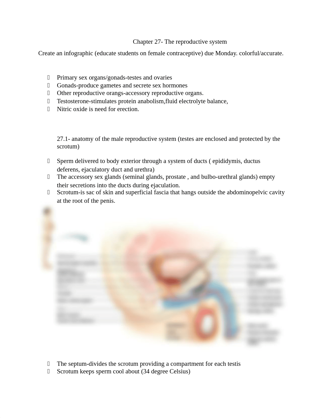 chapter 27- reproductive system_dvxhffy6v76_page1