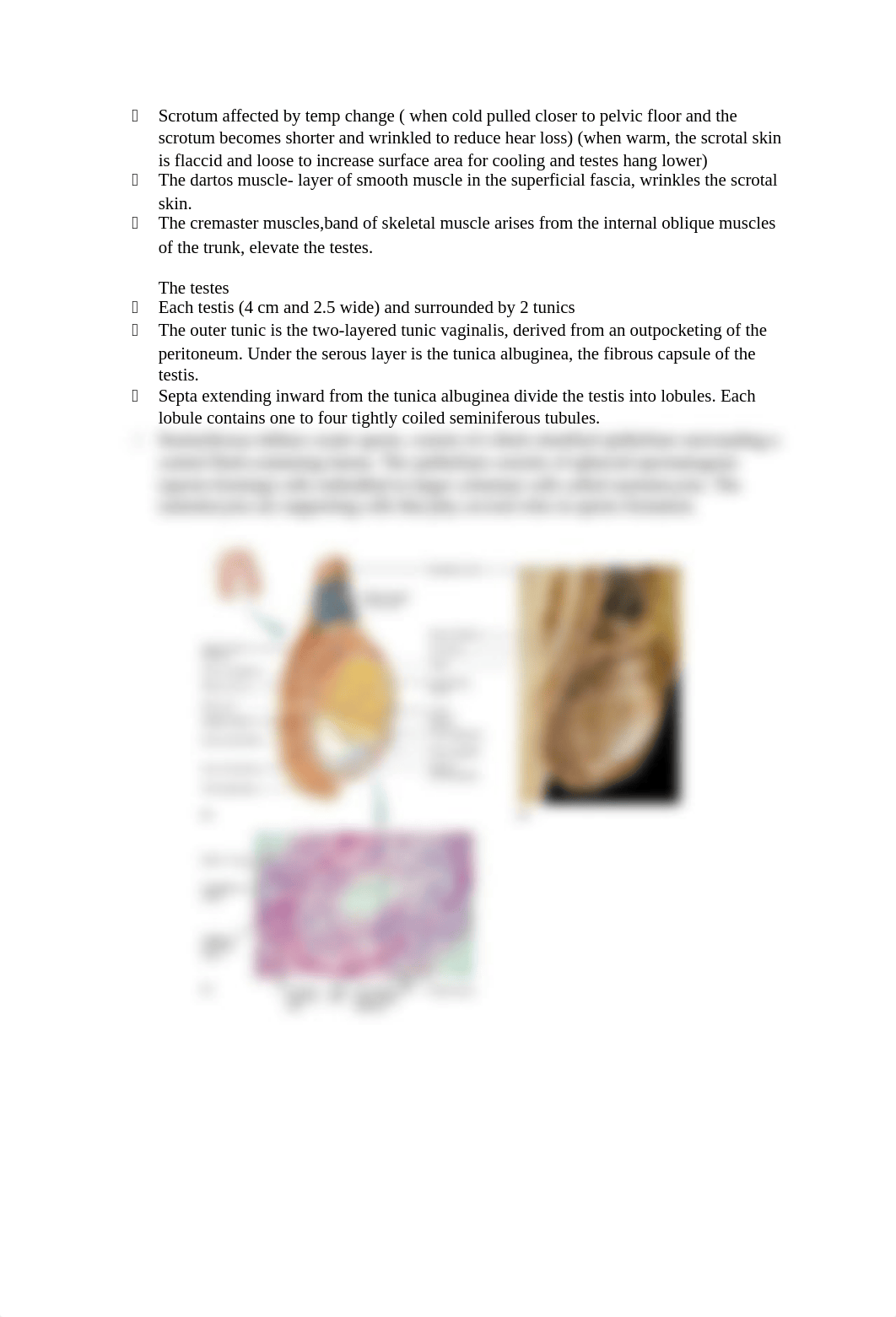 chapter 27- reproductive system_dvxhffy6v76_page2