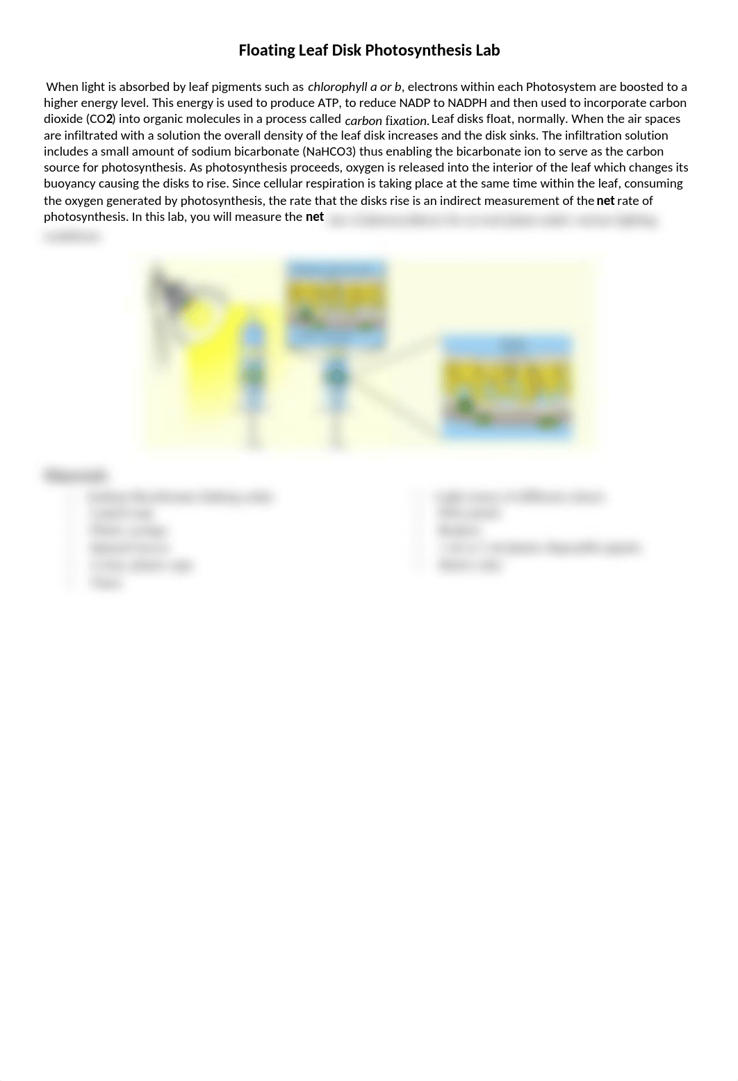 Floating Leaf Disk Photosynthesis Lab.docx_dvxhzu6d1sz_page1