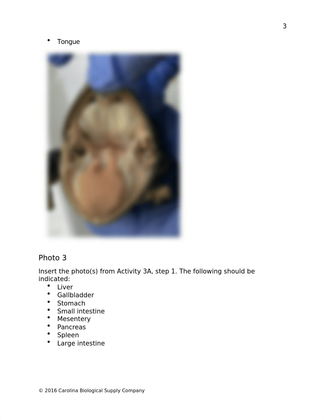 Frog Dissection (DONE).docx_dvxp3wbgmvg_page4