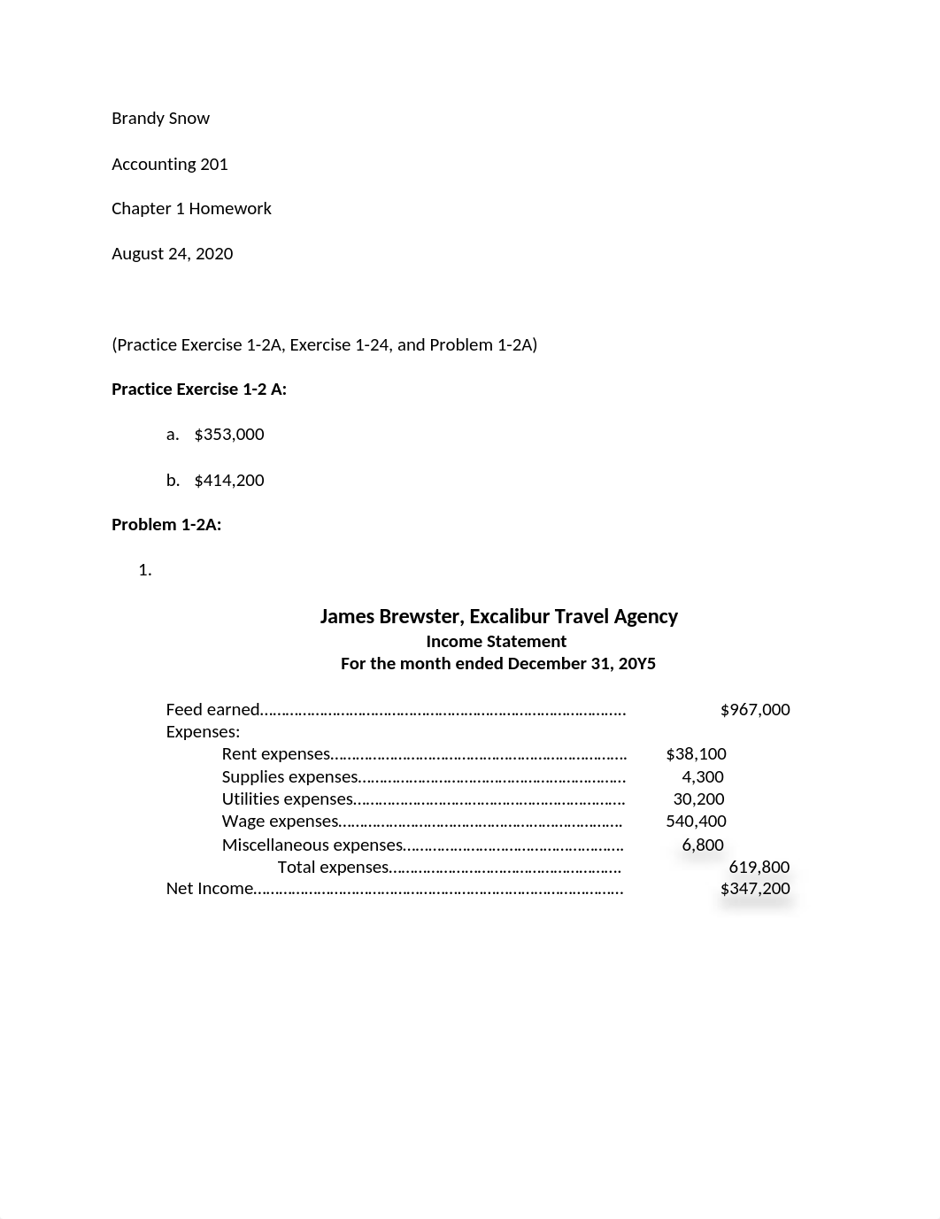 Accounting Chapter 1 HW.docx_dvxqqyuo6rl_page1