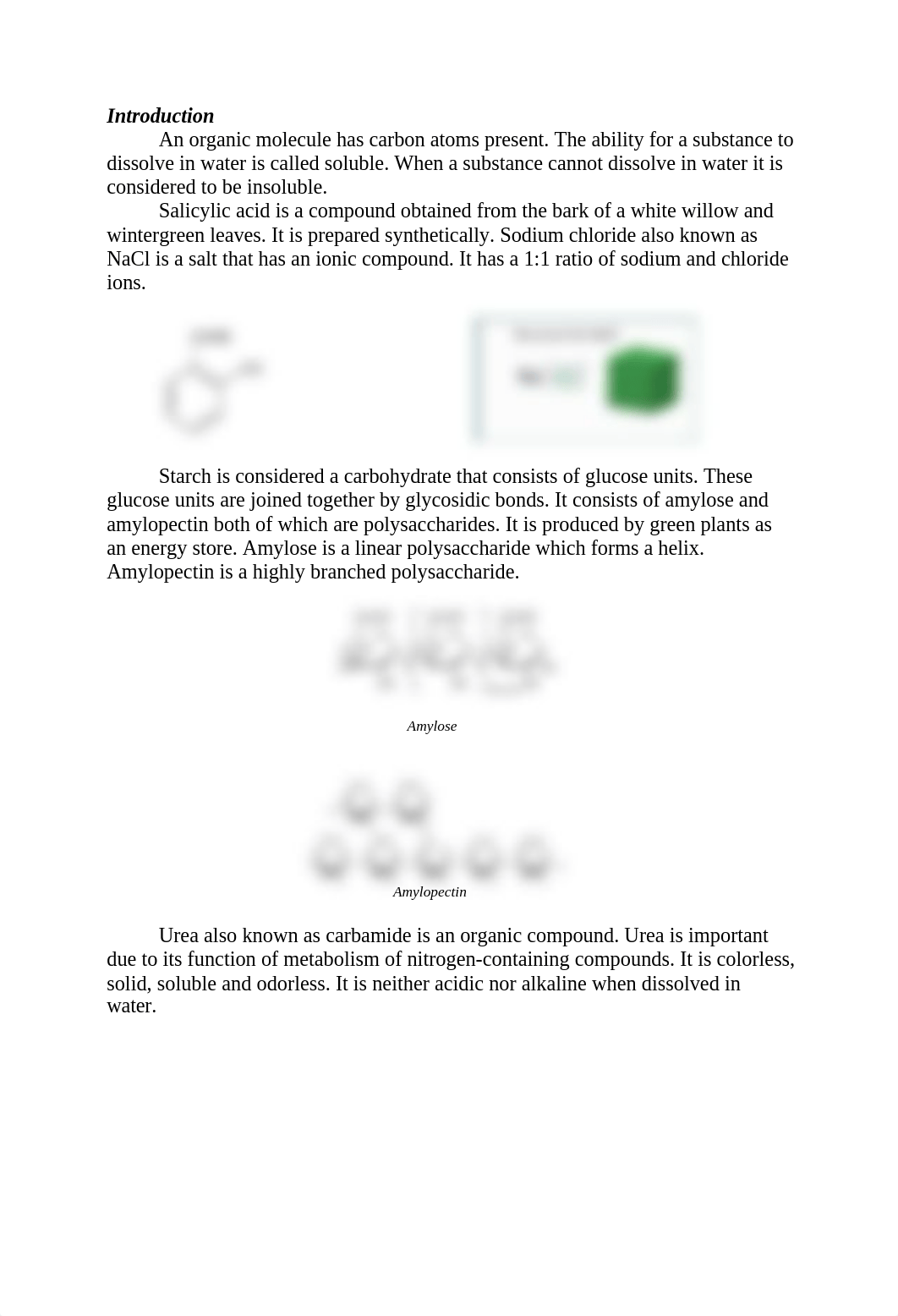 Molecules Lab Report.docx_dvxtqztfaui_page2