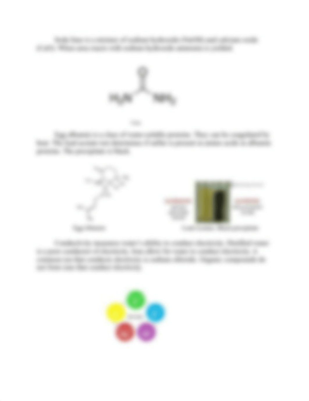 Molecules Lab Report.docx_dvxtqztfaui_page3