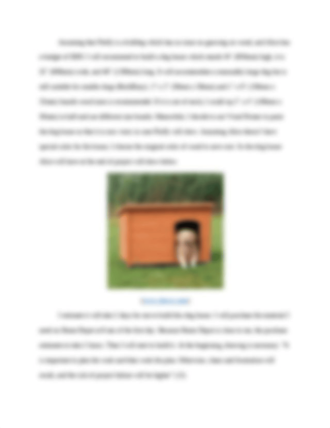 Project- Fluffy's Dog House.docx_dvyau7l1cwh_page2