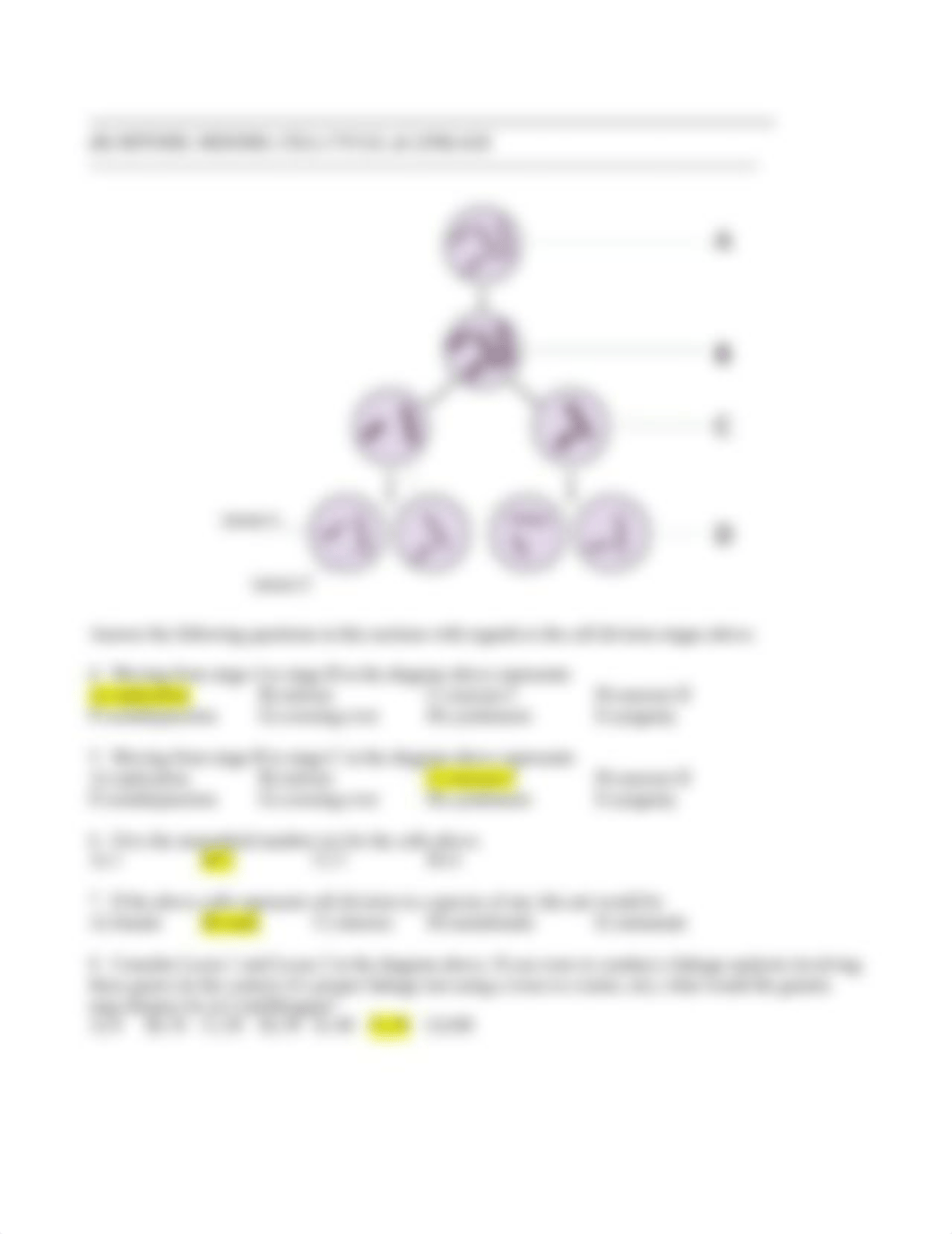 genetics final.doc_dvyfplgmaao_page4