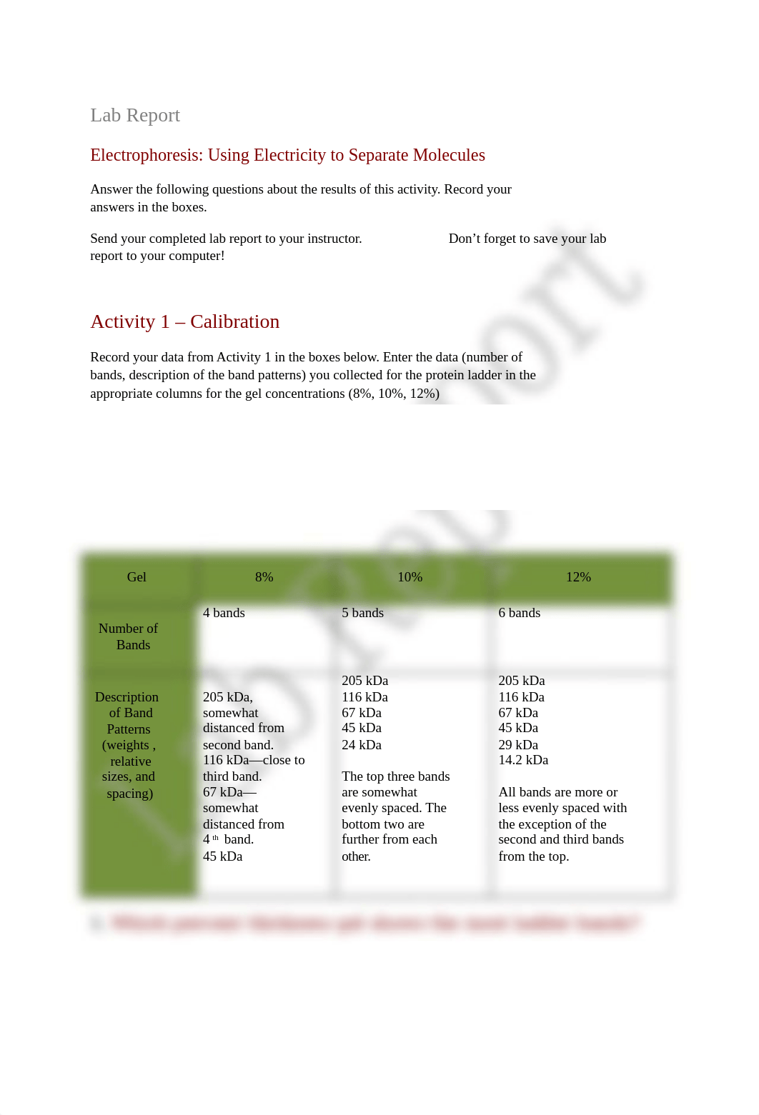 Electrophoresis Lab Report.doc_dvyg6urp9hk_page1