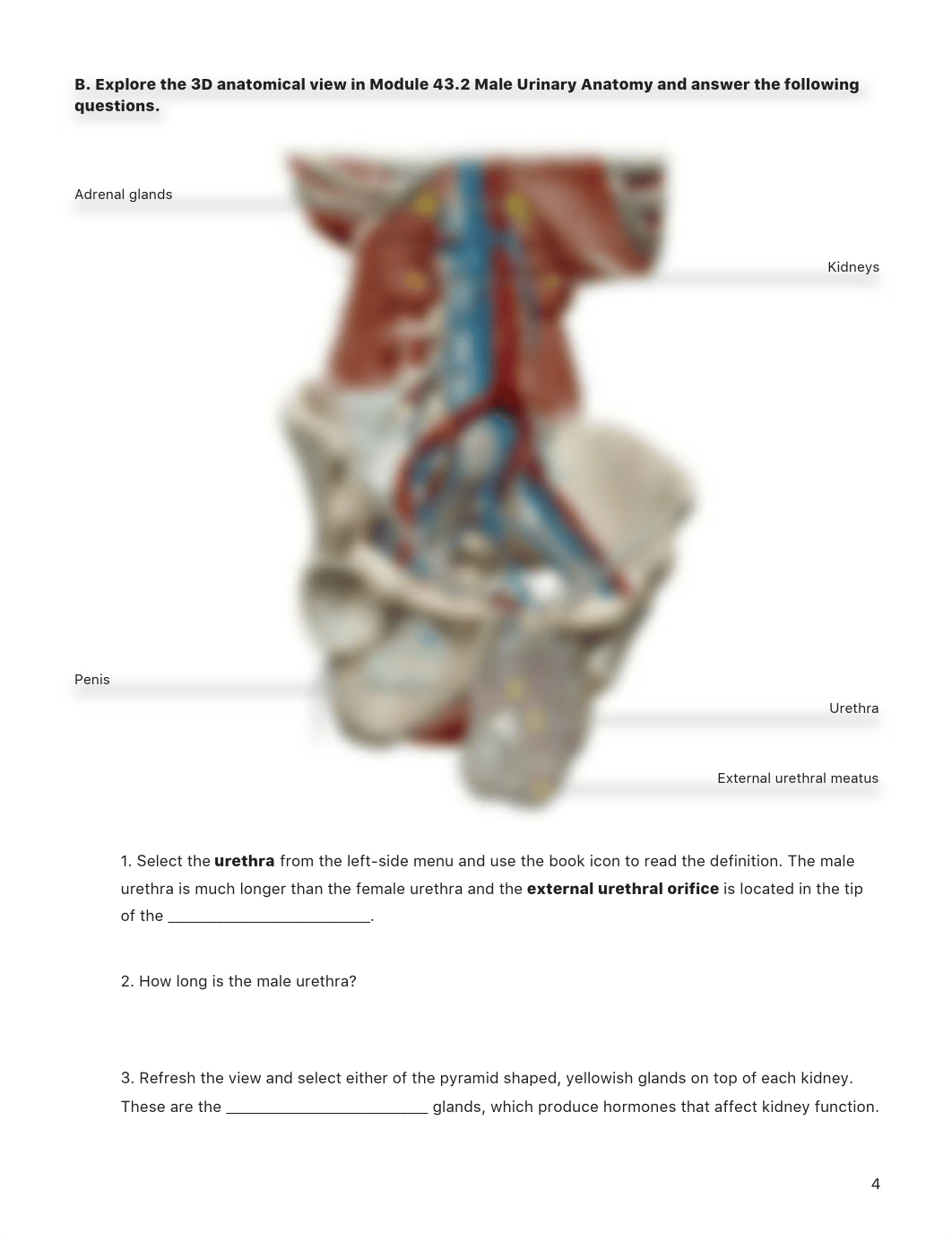 Lab #7 Activity Assignment (1).pdf_dvykej6tpkn_page4