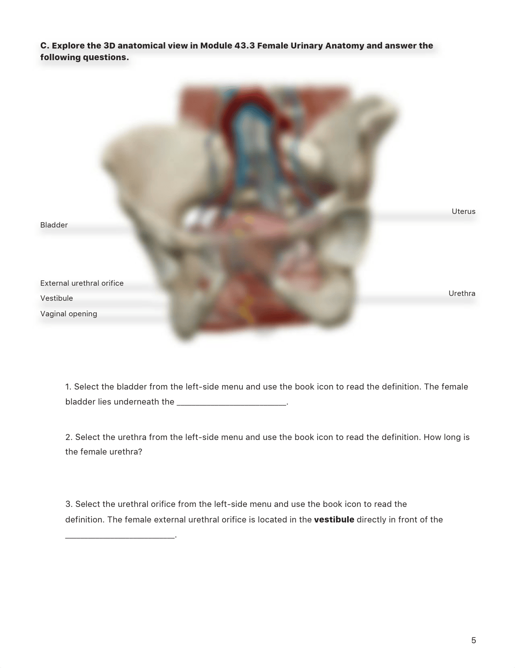 Lab #7 Activity Assignment (1).pdf_dvykej6tpkn_page5