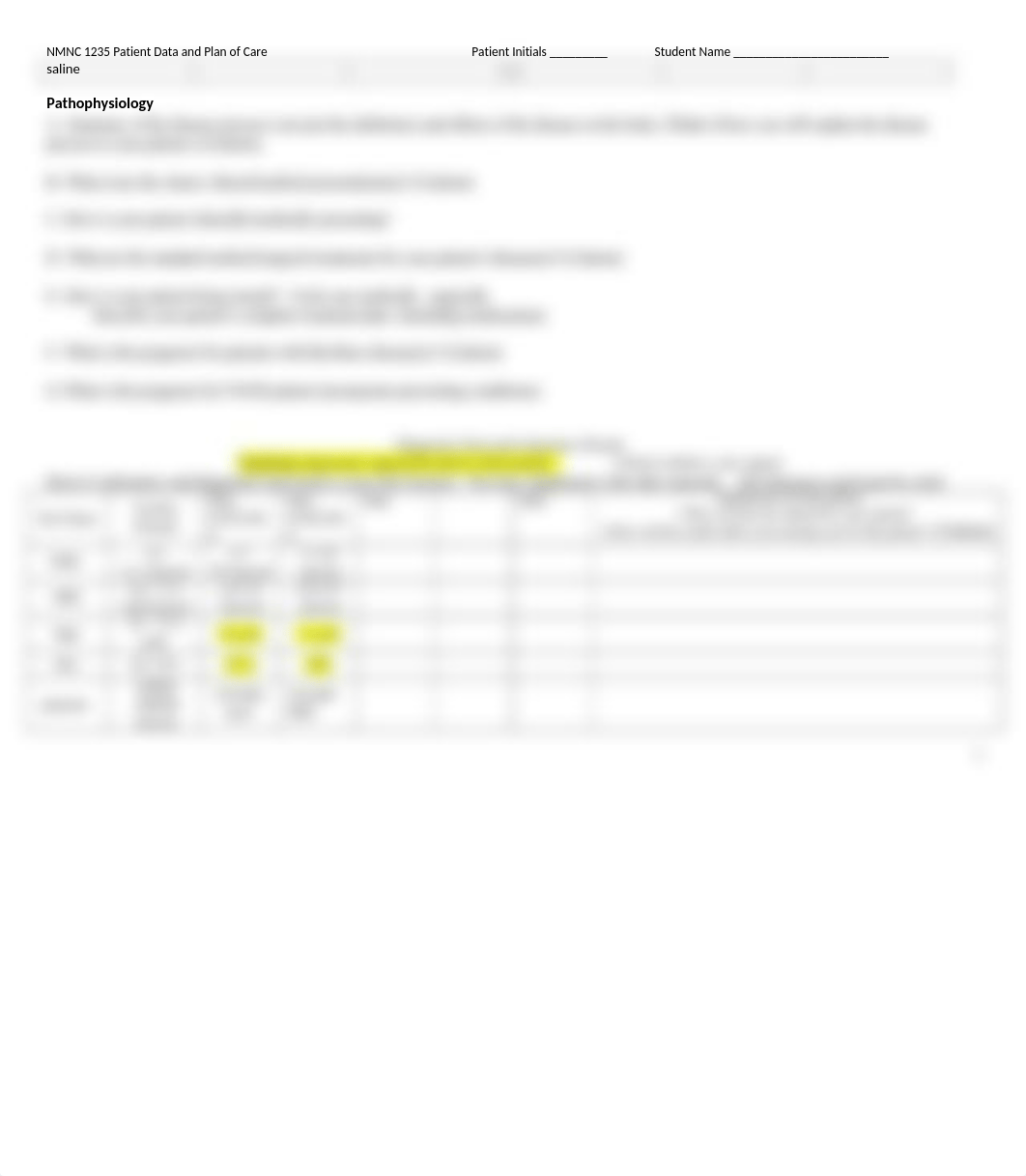 heart failure care plan.docx_dvyl9cexzo2_page2