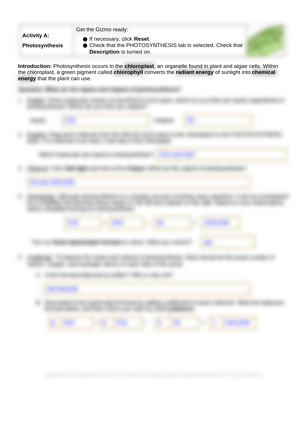 Copy of Cell Energy Gizmo.docx_dvyozhmor6e_page2