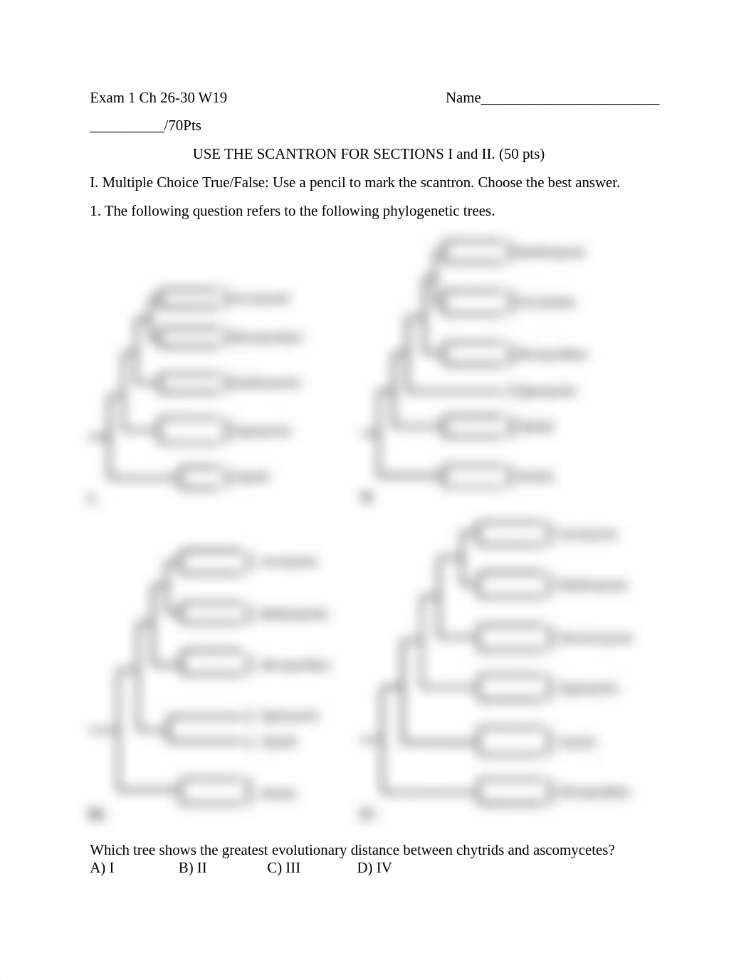 Exam 1 Ch26_30 W19 (1).docx_dvysg6skqwh_page1