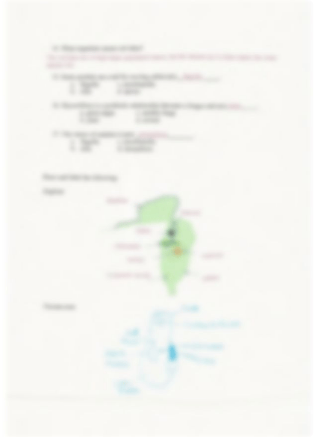 Kingdom Protista worksheet.pdf_dvz1udq9253_page2