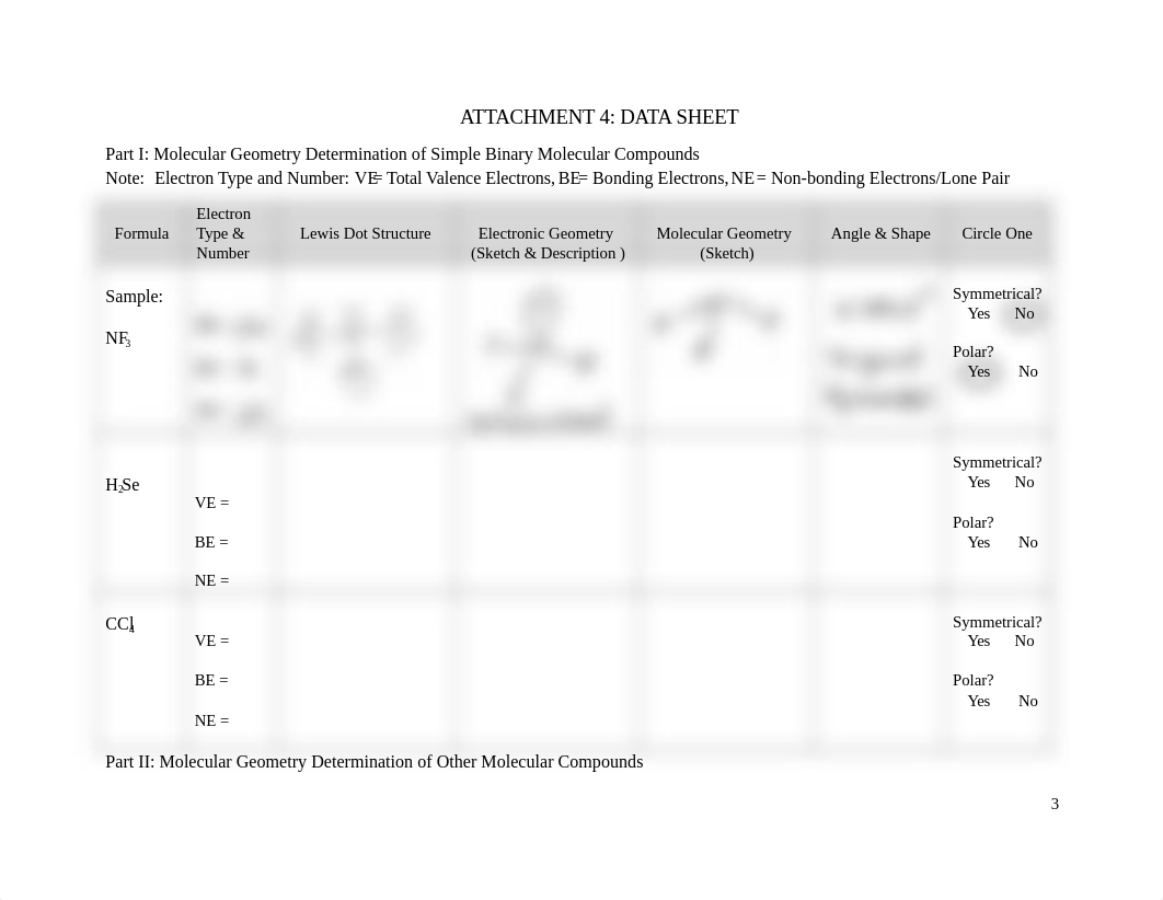 Exp 10 Determination of Molecular Geometries Sp 2021.docx_dvz3e9cuyul_page3