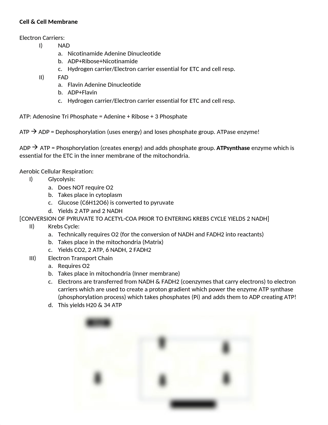 Cellular Study Guide.docx_dvz5tovt8d6_page1