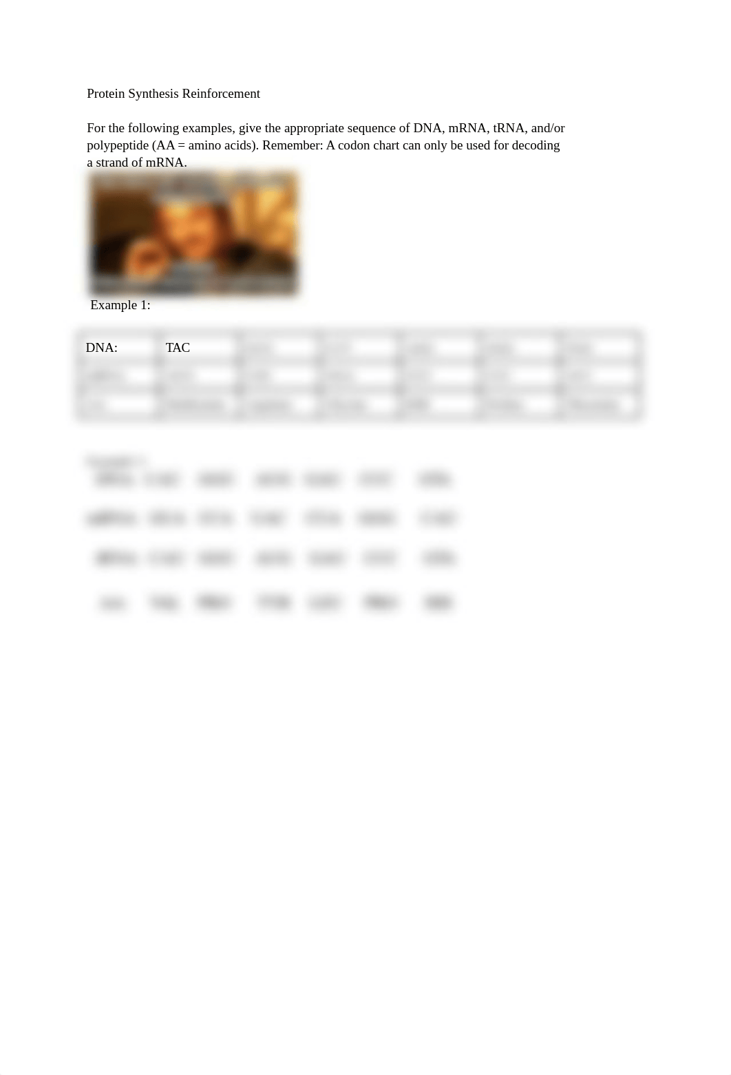 Copy_of_protein_synthesis_reinforcement_dvz9hs3inpk_page1