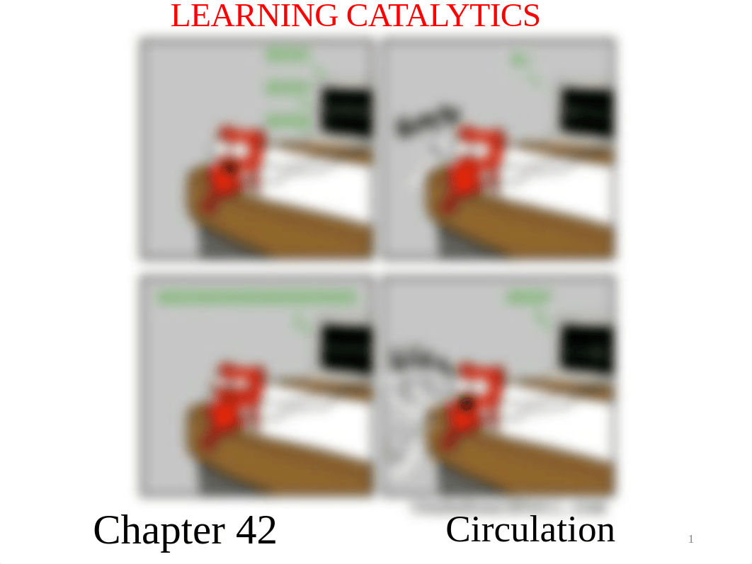 11.1 - Circulation.pdf_dvzorfsx8ge_page1