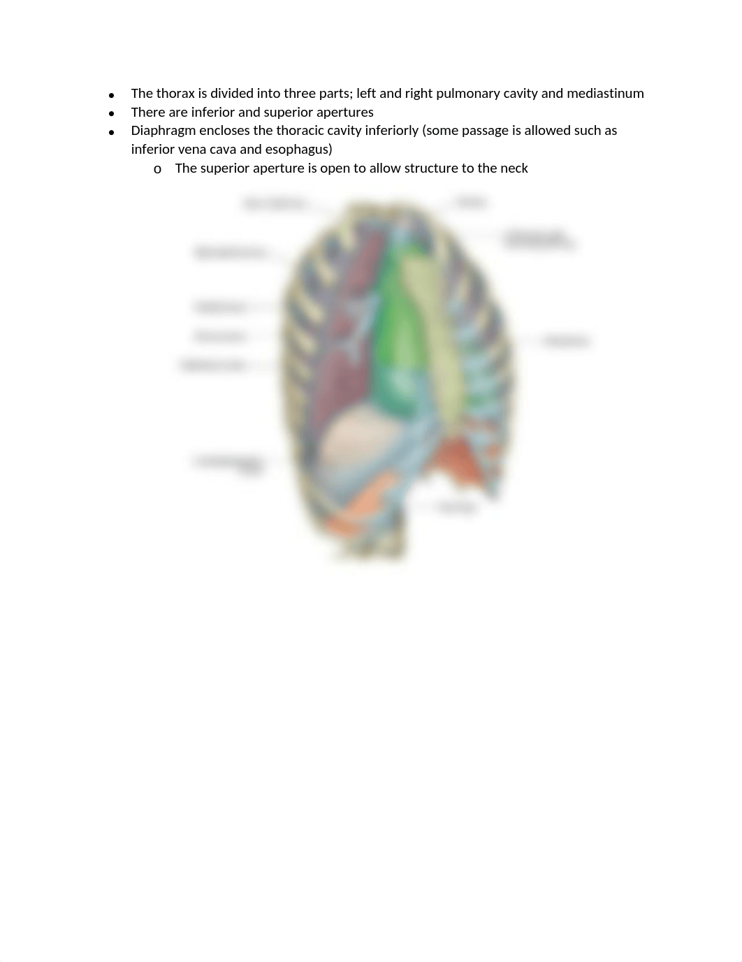 1. THORAX ANATOMY EXAM 2.docx_dvzpgftx2r0_page2