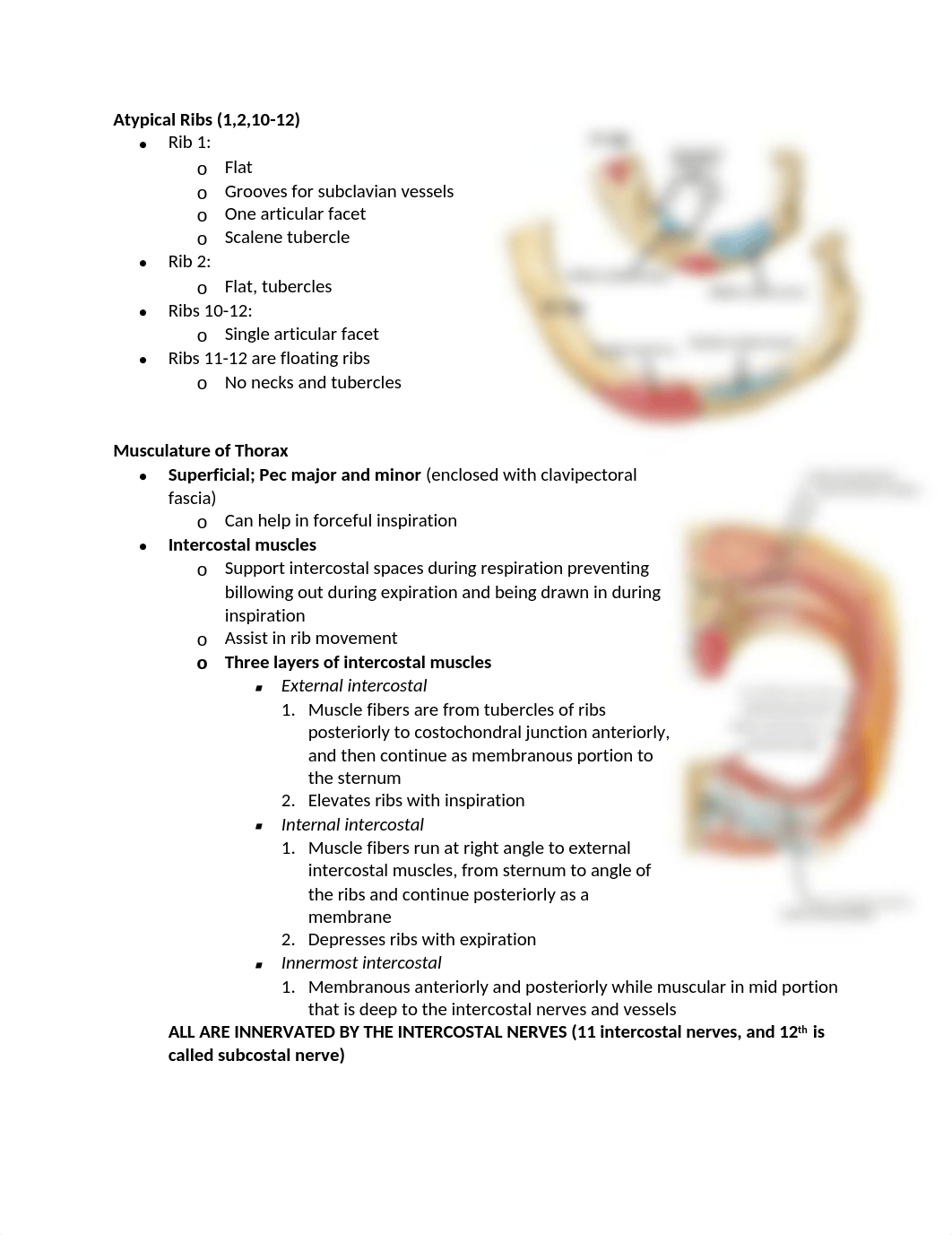 1. THORAX ANATOMY EXAM 2.docx_dvzpgftx2r0_page5