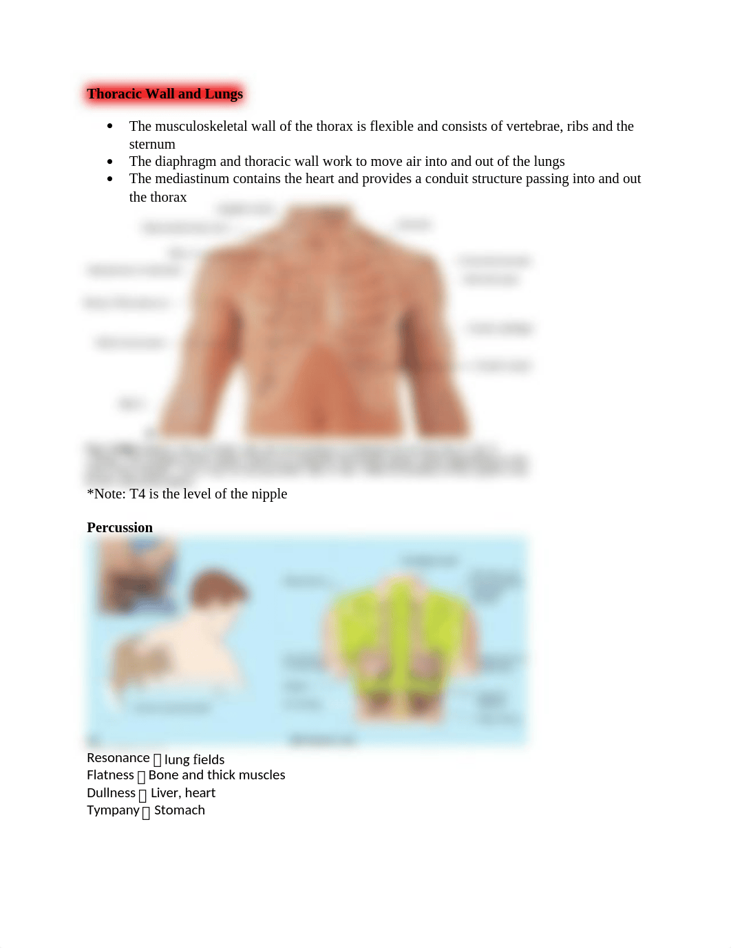 1. THORAX ANATOMY EXAM 2.docx_dvzpgftx2r0_page1