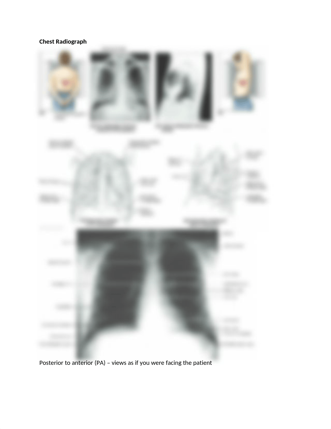 1. THORAX ANATOMY EXAM 2.docx_dvzpgftx2r0_page3