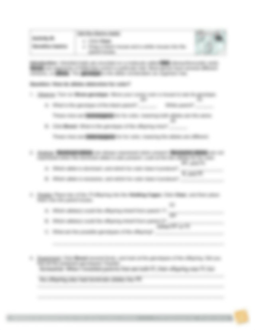 Mouse Genetics Worksheet - Blake Best.pdf_dvzqea1t19w_page3