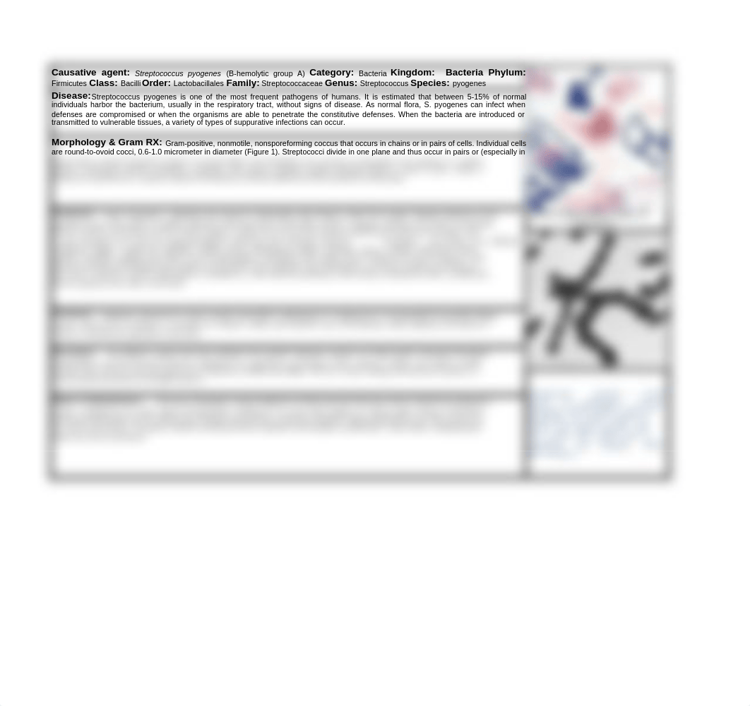 Pathogen Project Pathogens Streptococcus pyogenes_dvzqzoxdbi2_page1