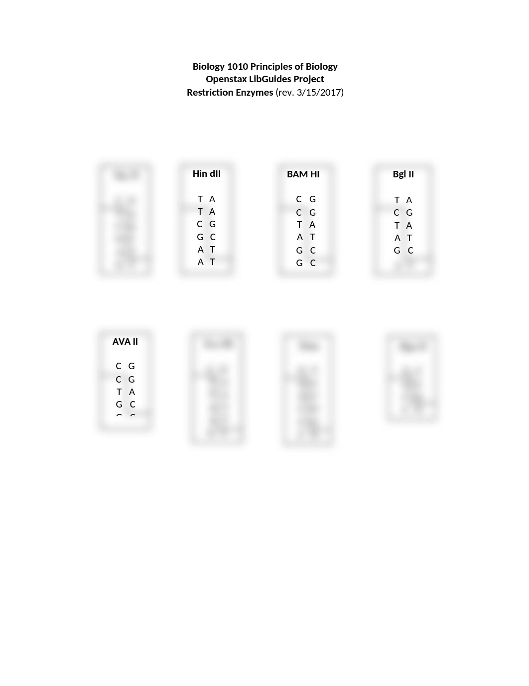 5. Project RESTRICTION ENZYMES.doc_dvzt4mwwmuu_page1