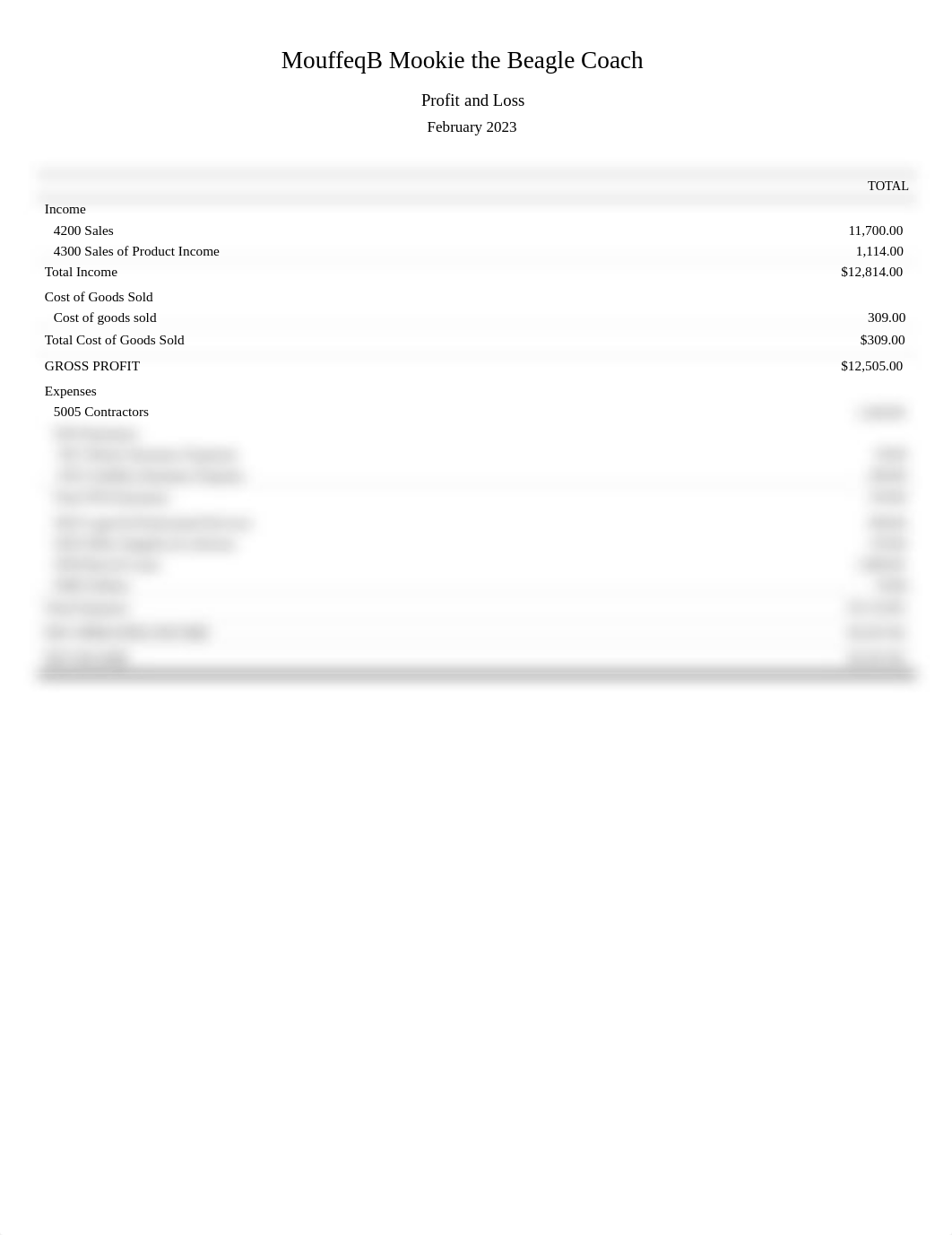 ProfitandLoss.pdf_dvzvdg8tlcl_page1