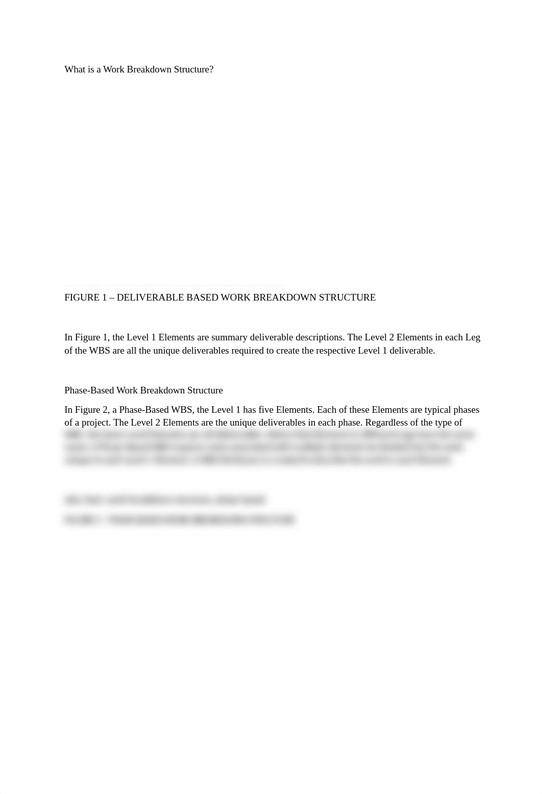 Work Breakdown Structure.docx_dvzzb4m1po2_page1