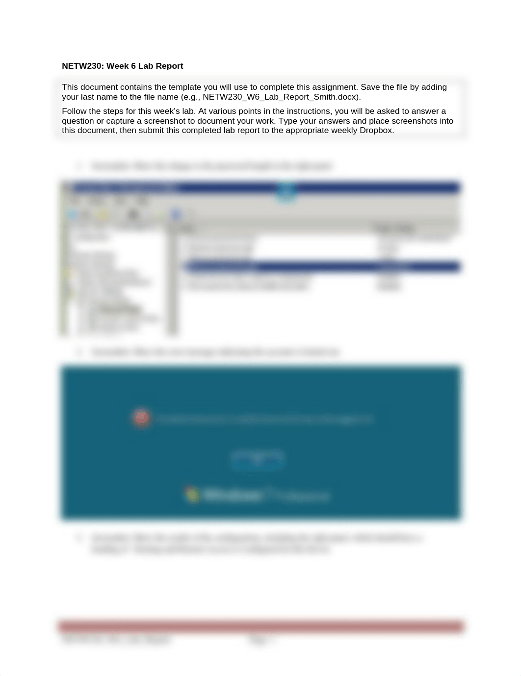 NETW230Wk6Lab.doc_dw0230lrve5_page1