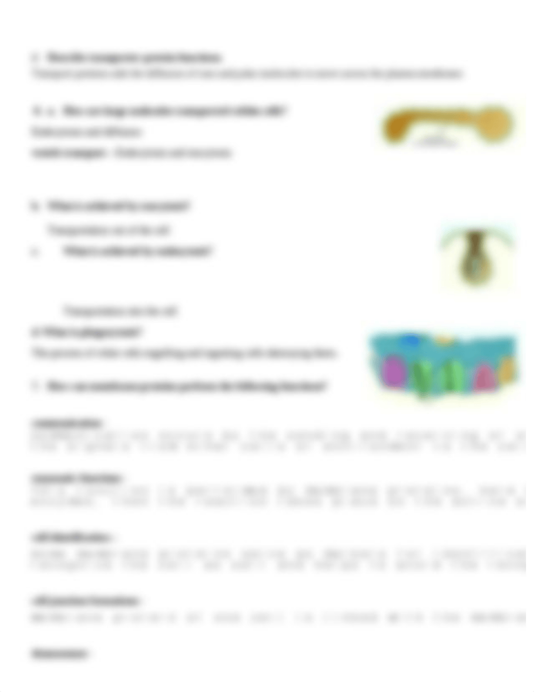 membrane functions.doc_dw03eciqngb_page2