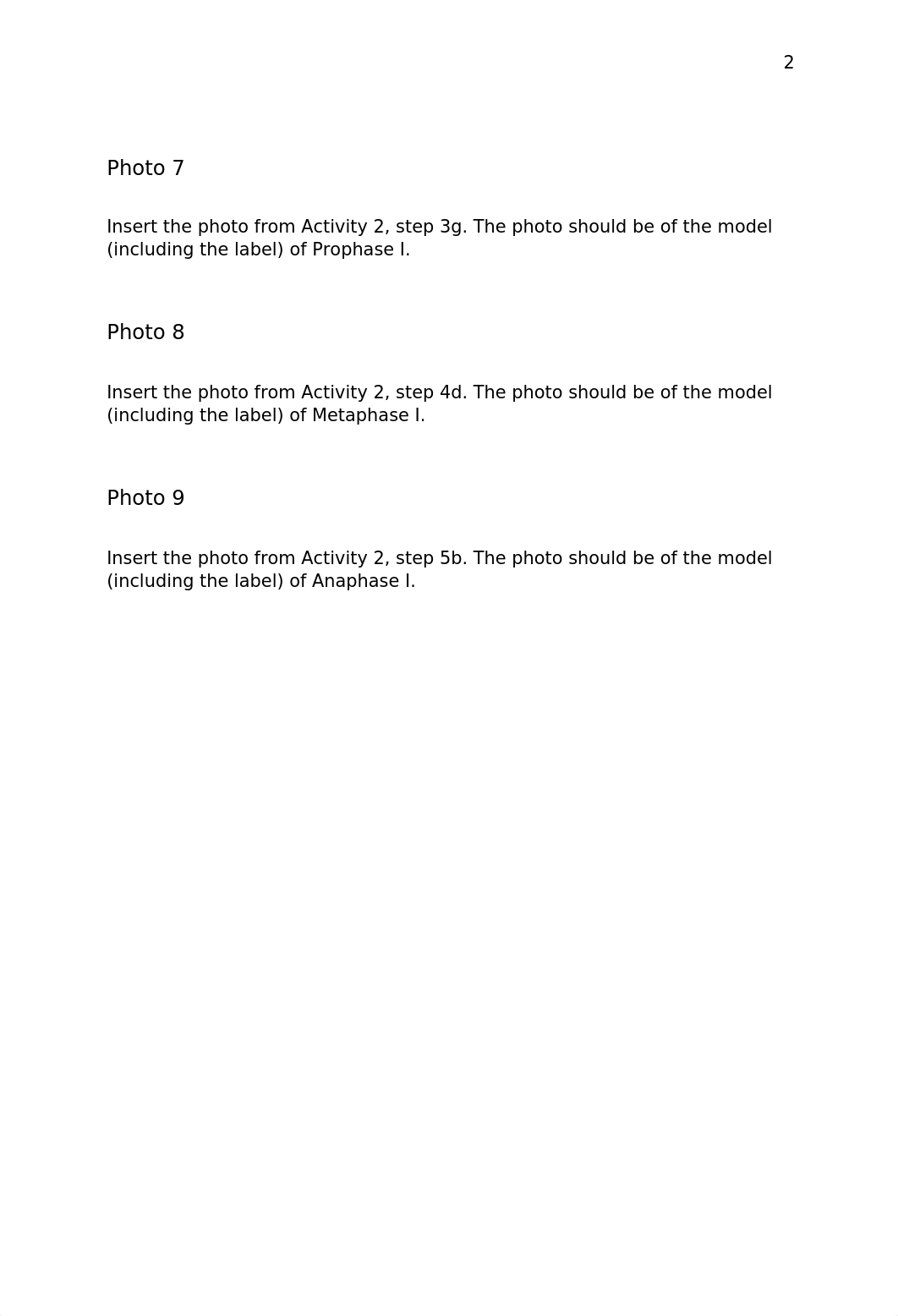 Mitosis and Meiosis Chromosome Simulation Q.docx_dw059yagsbb_page3