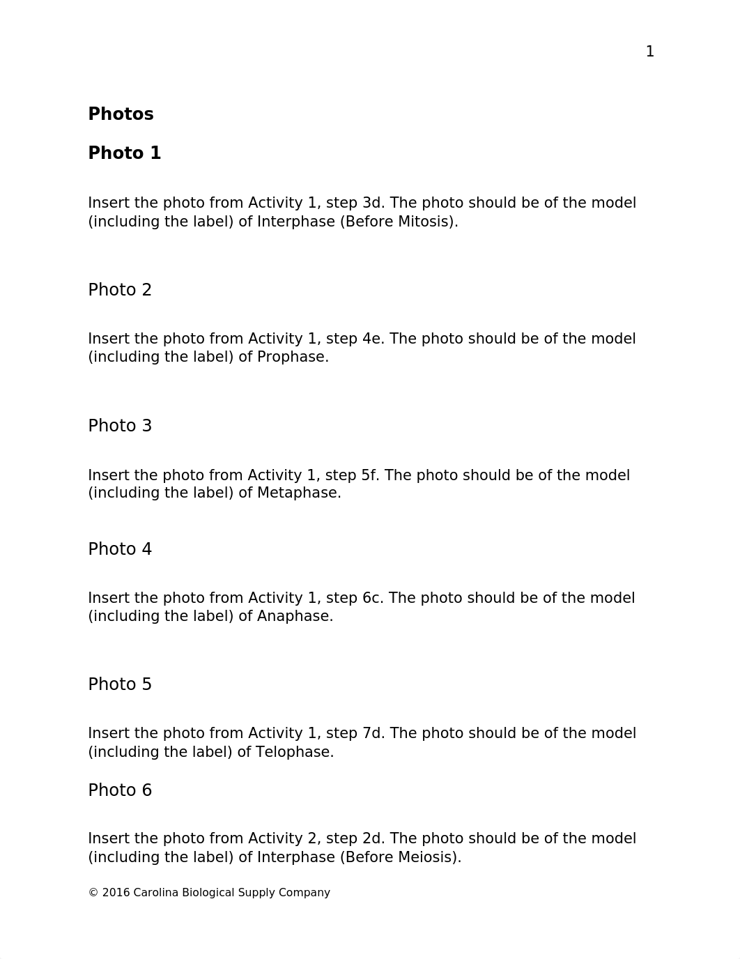 Mitosis and Meiosis Chromosome Simulation Q.docx_dw059yagsbb_page2