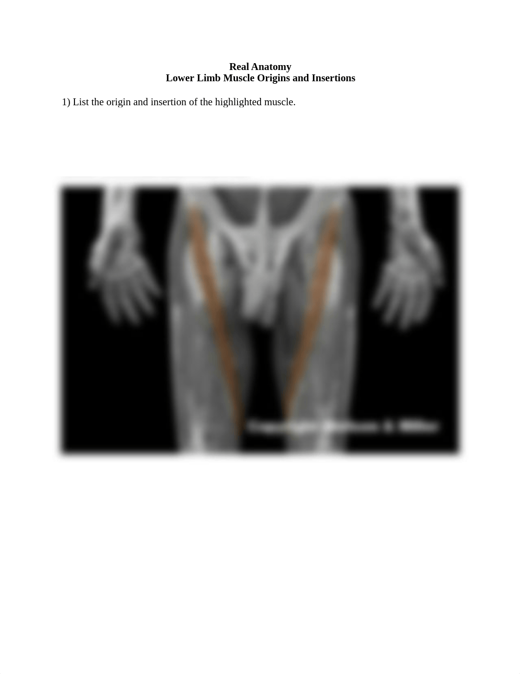 5_lower_limb_muscle_origins_and_insertions_Worksheet.docx_dw09uo342on_page1