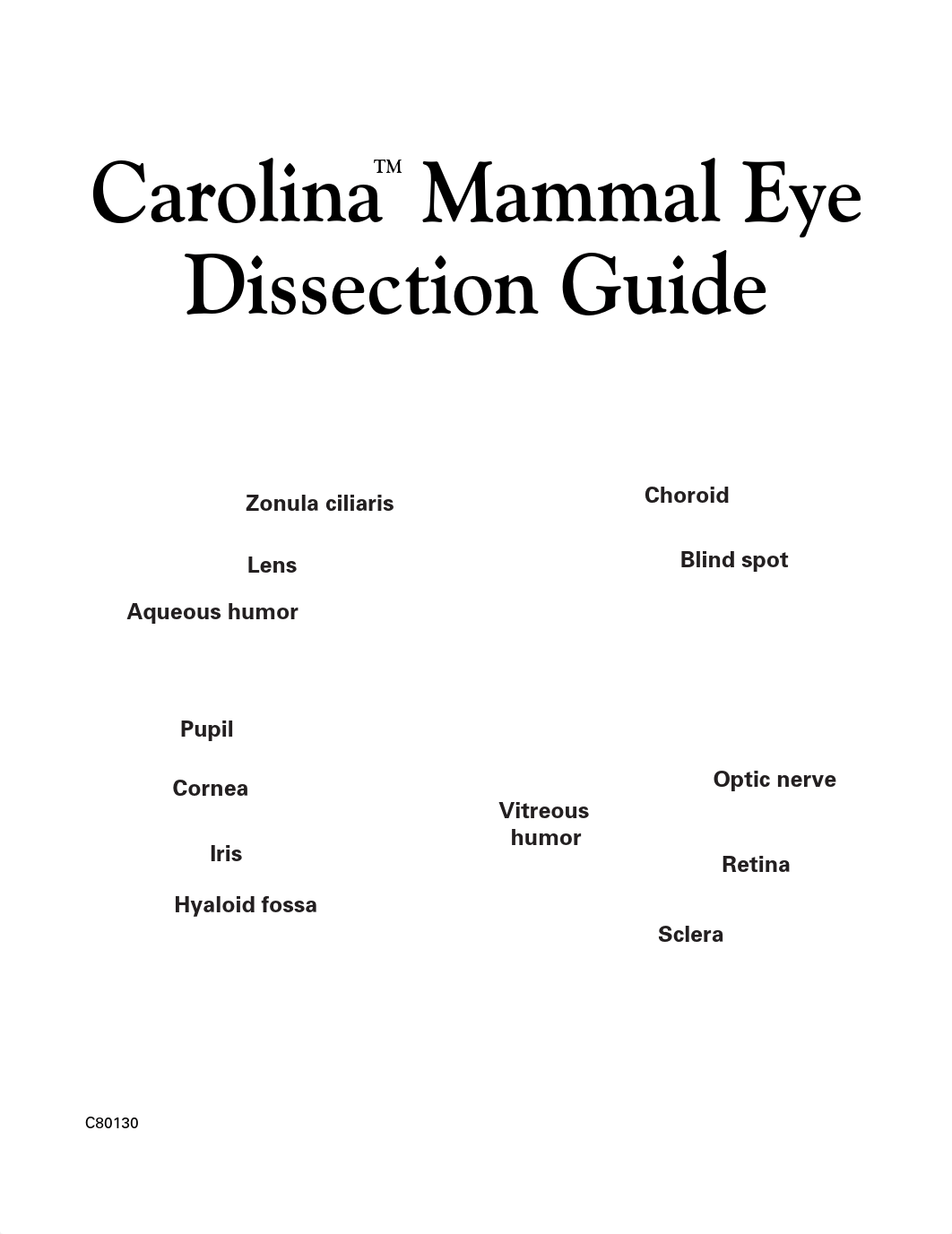 Carolina Eye Dissection Guide.pdf_dw0fwix7veh_page1