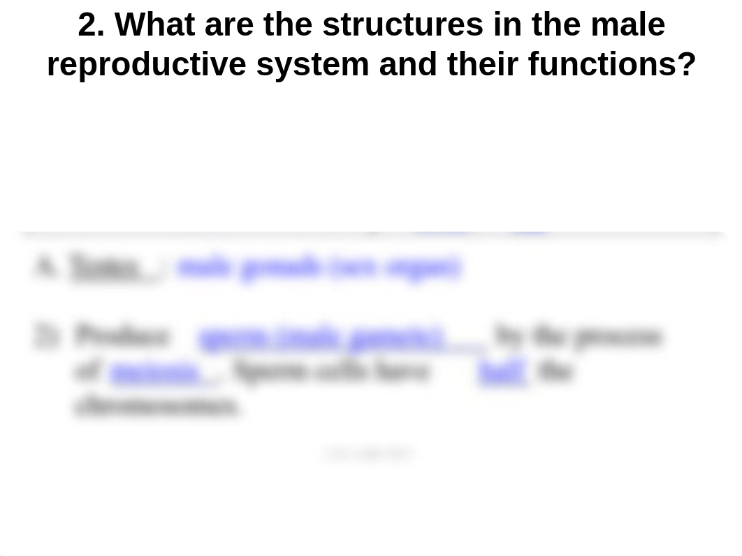 NOTES+Human+Reproduction+KEY.pptx_dw0ou0smgex_page4