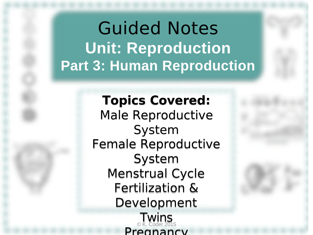 NOTES+Human+Reproduction+KEY.pptx_dw0ou0smgex_page1