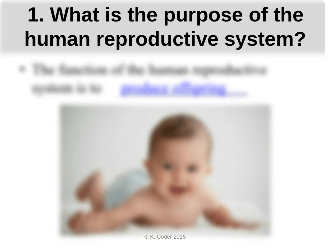 NOTES+Human+Reproduction+KEY.pptx_dw0ou0smgex_page2