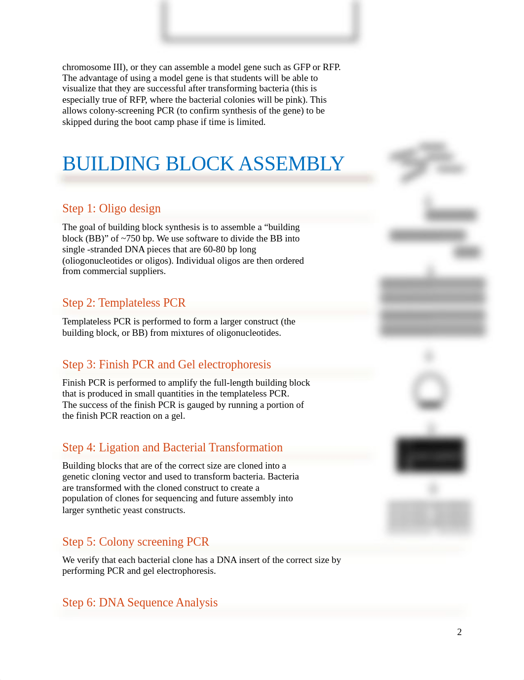 Build-a-Genome Lab Manual for RFP Synthesis.docx_dw0wa1mmx4f_page3