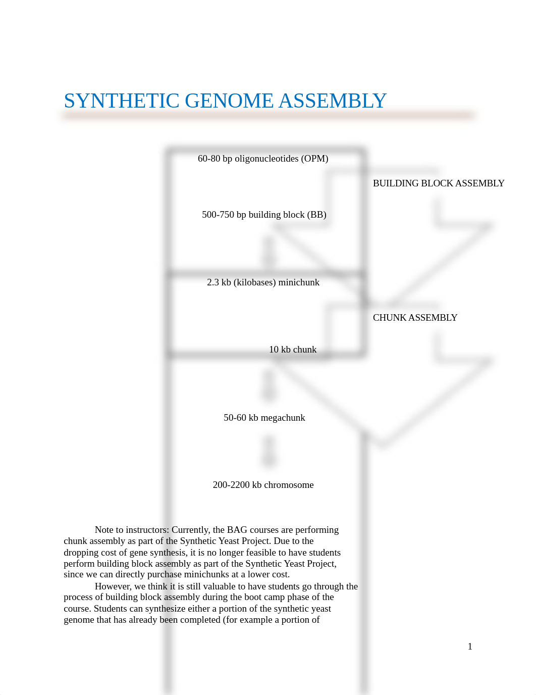 Build-a-Genome Lab Manual for RFP Synthesis.docx_dw0wa1mmx4f_page2